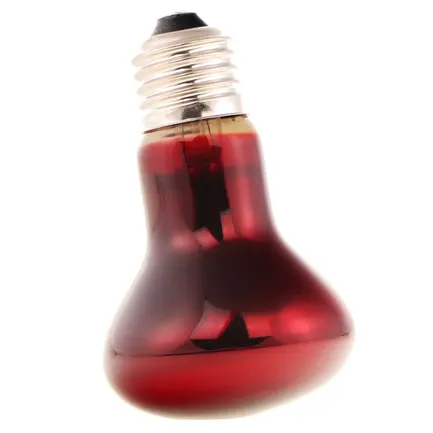 Інфрачервона нагрівальна лампа Repti-Zoo Infrared Heat 50W (R63050): додаткове фото 3