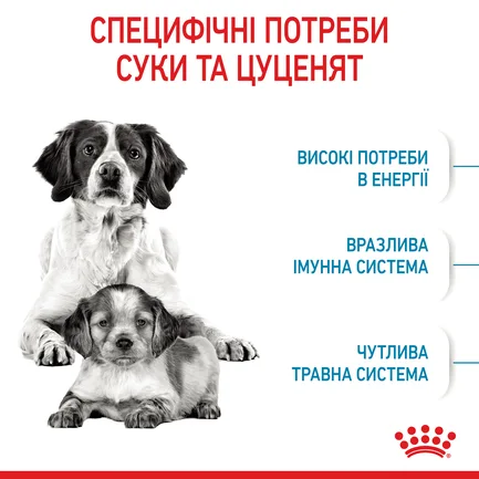 Сухий корм Royal Canin MEDIUM STARTER для дорослих собак середніх порід 1 кг: додаткове фото 4