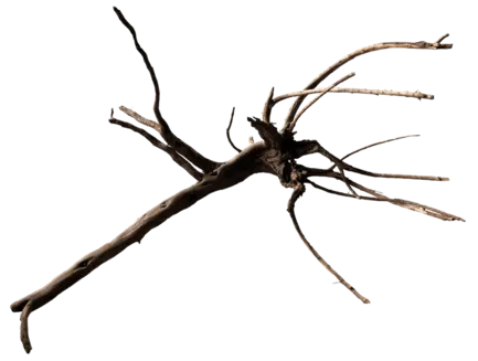 Павутинне дерево BLACK SPIDER WOOD X-LARGE (A4080395)