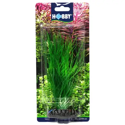 Штучна рослина Hobby Sagittaria 20см (41502): додаткове фото 2