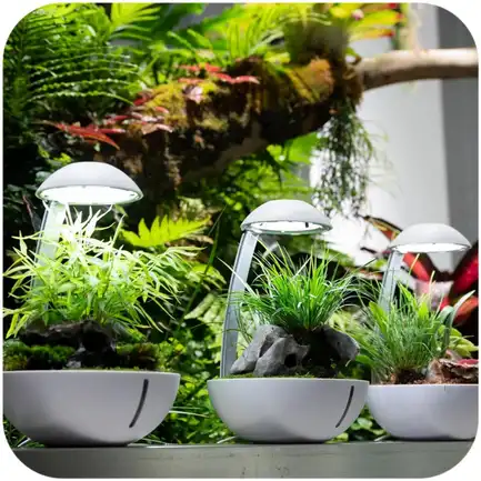 Мінітераріум Chihiros Tiny Terrarium Egg з LED-підсвіткою та керуванням через застосунок: додаткове фото 3