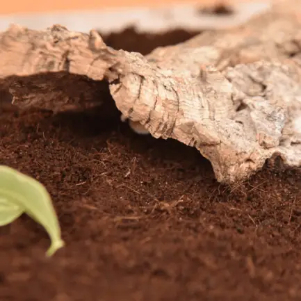 HABISTAT COIR SUBSTRATE 5 LITRES (R4100050) субстрат для тераріума: додаткове фото 2