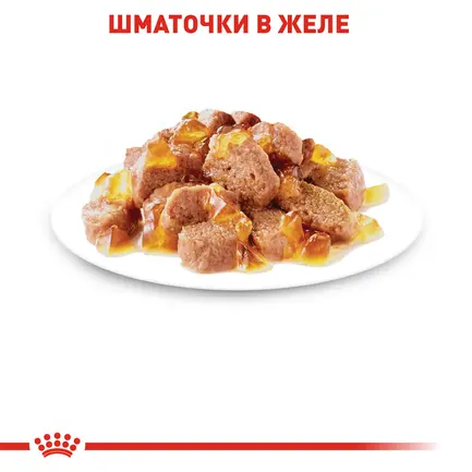 Вологий корм Royal Canin INSTINCTIVE IN JELLY для котів всіх порід 85 г: додаткове фото 4