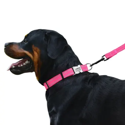 Нашийник для Собак BronzeDog Active Нейлоновий зі Світловідбиттям та Металевою Пряжкою Рожевий M: додаткове фото 4