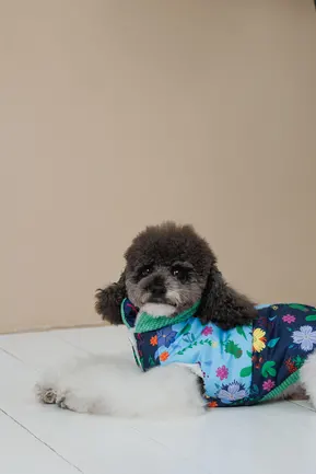 Жилет Pet Fashion Grass для собак розмір XS: додаткове фото 5