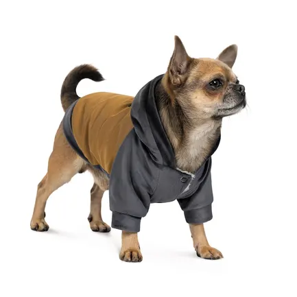 Толстовка Pet Fashion «Rollie» для собак, розмір S, бежева/сіра (лімітована серія): додаткове фото 2