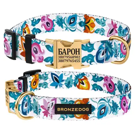 Нашийник для собак Bronzedog Urban Folk нейлоновий з металевою пряжкою золотистого кольору білий L: додаткове фото 3