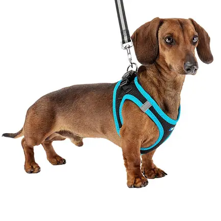 Ferplast KAORI P M HARNESS BLACK/BLUE Шлея,чорно-синя: додаткове фото 4