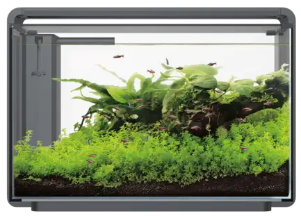 Акваріумний набір SuperFish Home ProLED 65 Black (A4051635)