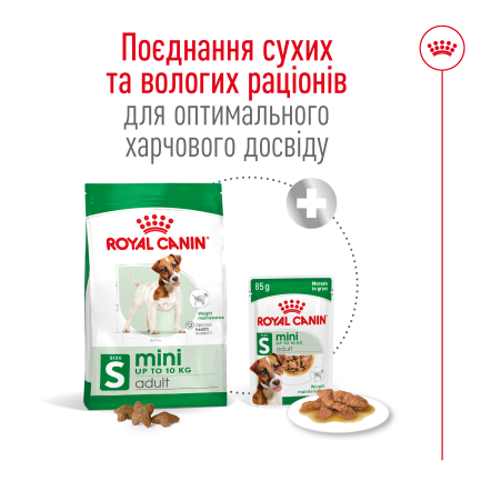 Сухий корм Royal Canin MINI ADULT для дорослих собак малих порід 8 кг — Фото 2