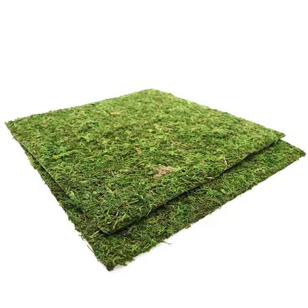Фон моховий Repti-Zoo Natural Moss Back & Bottom 30x30см 2шт. (NCM3030): додаткове фото 4