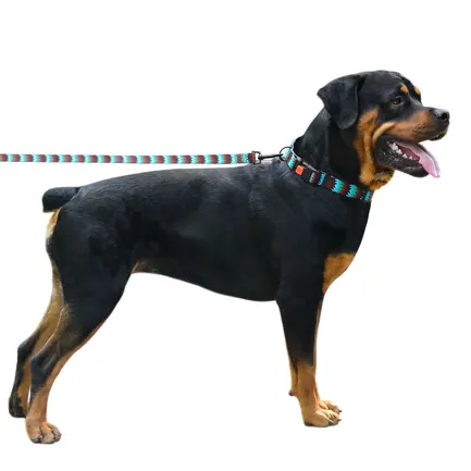 Нашийник для Собак BronzeDog Urban Зигзаг Нейлоновий з Пластиковою Пряжкою Коричнево-Блакитний S: додаткове фото 6