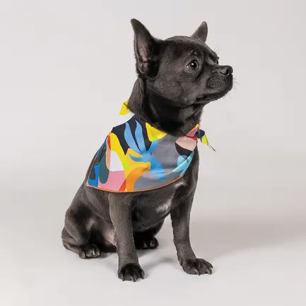 Бандана Pet Fashion «Weekend» для собак, розмір XS-S, принт: додаткове фото 2