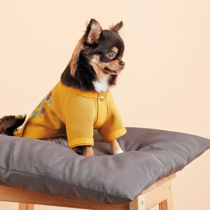 Кардиган Pet Fashion Denis для собак розмір XS жовтий: додаткове фото 4
