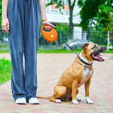 Повідець-рулетка для собак WAUDOG R-leash з контейнером для пакетів, світловідбивна стрічка, L, до 40 кг, 5 м, помаранчевий: додаткове фото 2
