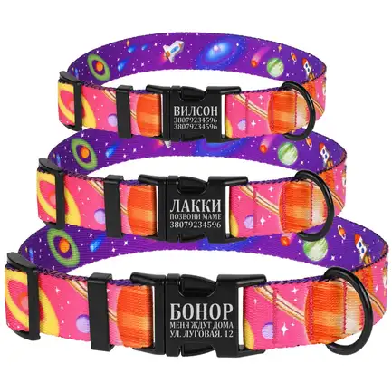 Нашийник для собак BronzeDog Urban Cosmos нейлоновий з металевою пряжкою Рожевий S: додаткове фото 5