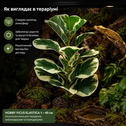 Штучна рослина Hobby Ficus Elastica 1 40 см (37705) для тераріуму, акватераріуму та палюдаріуму: додаткове фото 3