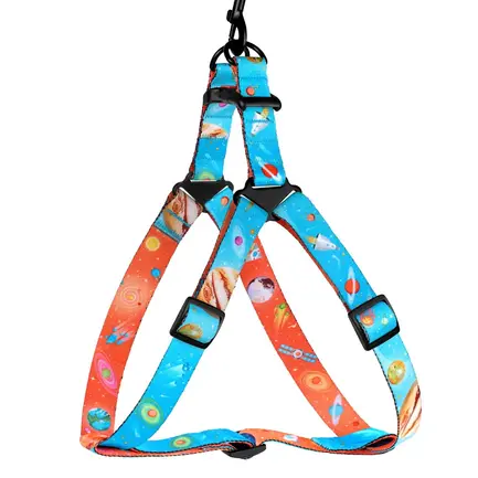 Шлея для собак BronzeDog Urban Cosmos нейлонова Блакитна M: додаткове фото 2