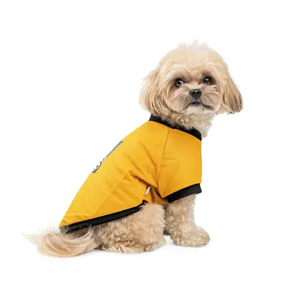 Футболка Pet Fashion Jessica для собак бавовна трикотаж жовта M: додаткове фото 2