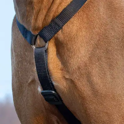 Ferplast BRAVE MEDIUM NERA PETTORINA шлея для собак чорна: додаткове фото 5