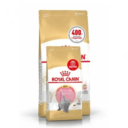 Сухий корм Royal Canin KITTEN BRITISH SHORTHAIR для породи кошенят Британська короткошерста кішка 2кг + 400г