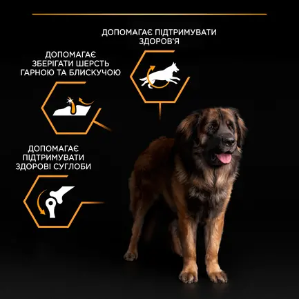 Сухий корм PRO PLAN Large Robust Adult 2+ Everyday Nutrion для дорослих собак великих порід масивної статури з куркою 14 кг: додаткове фото 8