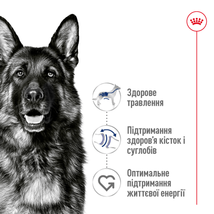 Сухий корм Royal Canin MAXI ADULT для дорослих собак великих порід 15 кг — Фото 5