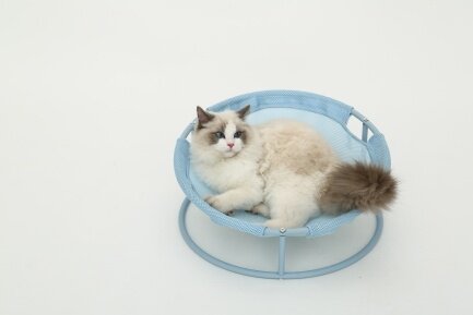 Складаний лежак для домашніх тварин MISOKO Pet bed round, 45x45x22 cm, light blue — Фото 4