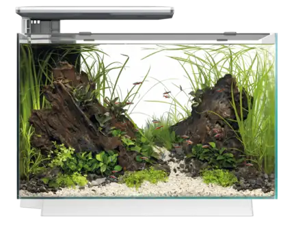 Акваріумний набір SuperFish Quadro 70 Pro White (A4052220)