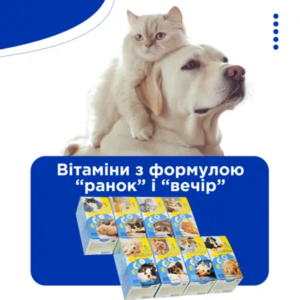 Біоритм (BioRitm) полівітамінний комплекс для кошенят, MODES: додаткове фото 2