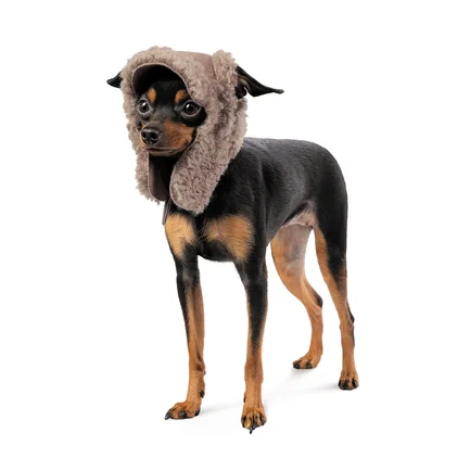 Шапка Pet Fashion Valley для собак розмір S: додаткове фото 2