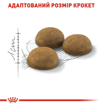 Сухий корм Royal Canin INDOOR LONGHAIR для котів всіх порід 2 кг: додаткове фото 4