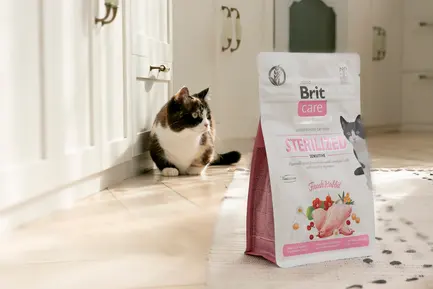 Сухий корм Brit Care Cat GF Sterilized Sensitive для стерилізованих котів з чутливим травленням, з кроликом, 2 кг: додаткове фото 5