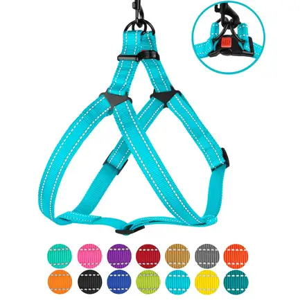 Шлея для Собак BronzeDog Active Нейлонова зі Світловідбиттям Блакитна S: додаткове фото 4