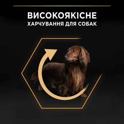 Сухий корм PRO PLAN Small&Mini Adult 1+ Everyday Nutrion для дорослих собак дрібних порід з куркою 700 г: додаткове фото 4