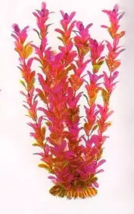 Aquatic Plants (Акватик Плэнтс) Акваріумна рослина, 34 см х 6 шт/уп.