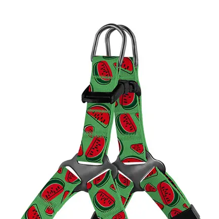 Шлея для Собак Дрібних Порід BronzeDog Urban Fruits Кавун 2XS: додаткове фото 2