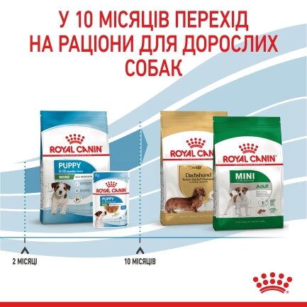 Сухий корм Royal Canin MINI PUPPY для цуценят малих порід 0,8 кг + WET MINI PUPPY 85 г — Фото 6