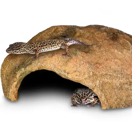 Декорація пещера Terrario Gecko Cave L 27x22x9см (292410): додаткове фото 4