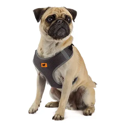 Ferplast NIKITA P M HARNESS BLACK Шлея, нейлон, чорна: додаткове фото 4