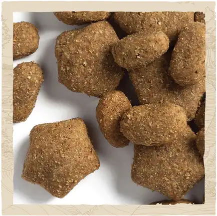 Сухий корм DOG CHOW Sensitive Adult 1+ для дорослих собак схильних до алергії з лососем 2,5 кг: додаткове фото 8