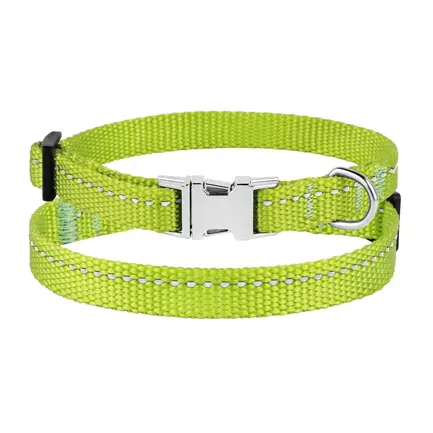 Нашийник для Собак Дрібних Порід BronzeDog Active Нейлоновий зі Світловідбиттям та Металевою Пряжкою Салатовий XS