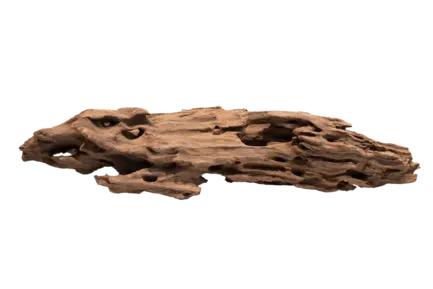 Дерево зі стільниками HONEYCOMB WOOD LARGE (A4080370)