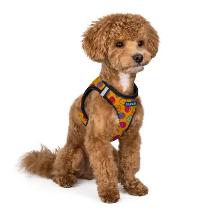 Шлея для Собак Barksi Sport Vest Пончики XS: додаткове фото 2
