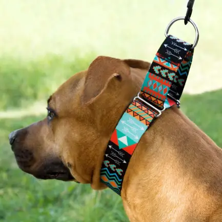 Нашийник для Собак Мартінґейл BronzeDog Urban Нейлоновий з Металевою Фурнітурою Ацтеки M: додаткове фото 5