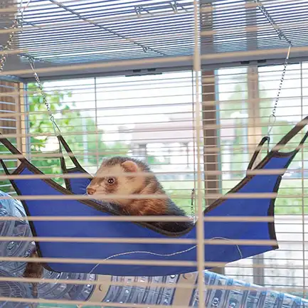 Ferplast CAGE FURET TOWER Клітка для тхорів: додаткове фото 8