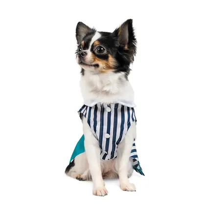 Сукня Pet Fashion «Band» для дівчаток, розмір XS, в морському стилі: додаткове фото 2