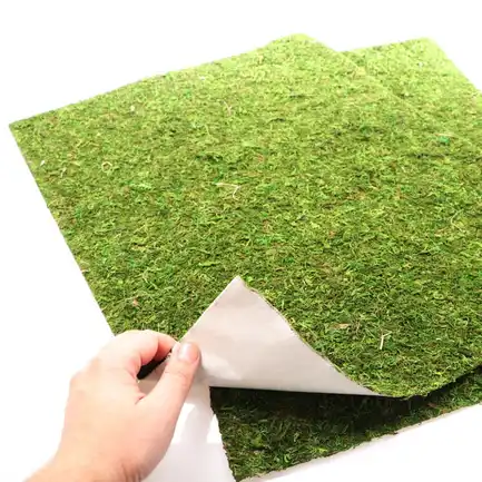 Фон моховий Repti-Zoo Natural Moss Back & Bottom 50x25см 2шт. (NCM5025): додаткове фото 3