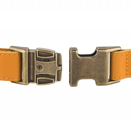 Нашийник для собак шкіряний BronzeDog Antiq голд L: додаткове фото 3