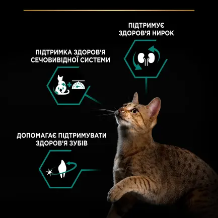 Сухий корм PRO PLAN Sterilised Adult 1+ Renal Plus для дорослих котів після стерилізації з індичкою 1,5 кг: додаткове фото 5